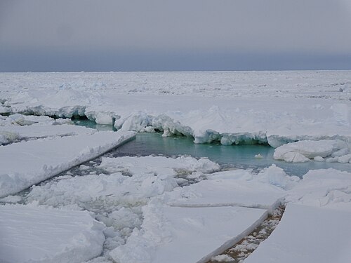 Ross Sea